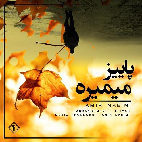 دانلود آهنگ پاییزه میمیره امیر نعیمی